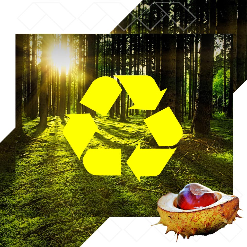Abfallvermeidung und Recyclingfähigkeit