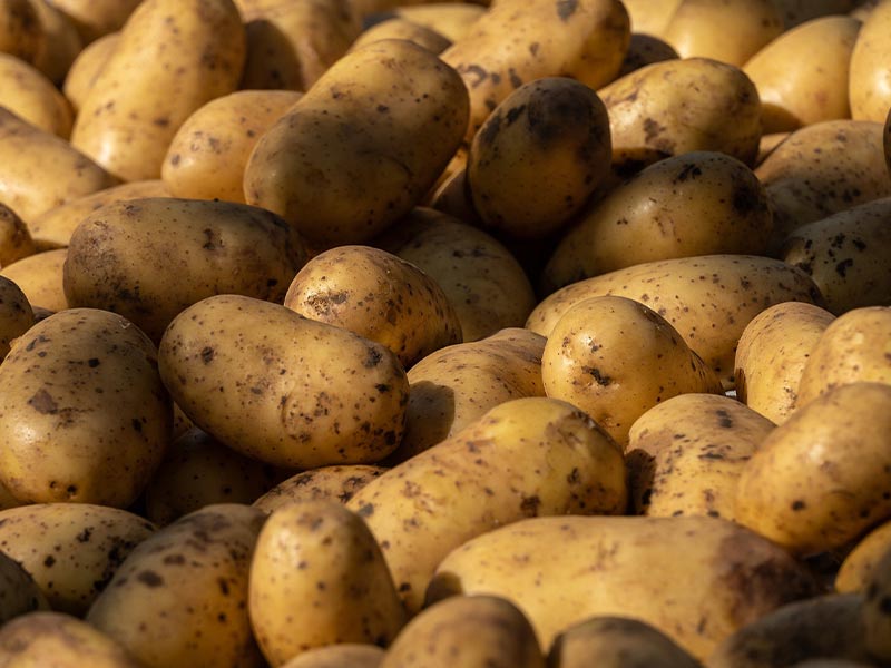 verpackung-kartoffeln